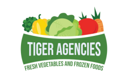 Untitled design (20)